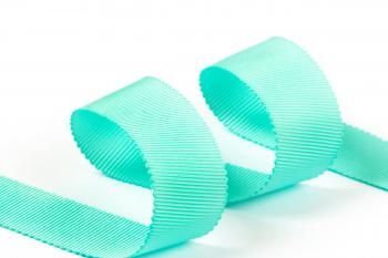 Лента репсовая Gamma 25 мм с зубчатым краем PTGR-25-314 мятный